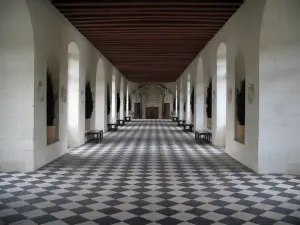 Château de Chenonceau - Inside of the castle: gallery on the bridge