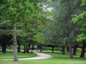 Château de Cheverny - Path lined with lawns and trees of the park