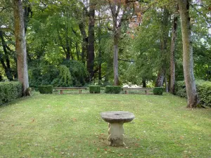 Château de Commarin - Promenade dans le parc verdoyant