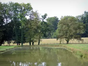 Château de Commarin - Pièce d'eau bordée d'arbres