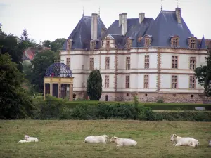 Château de Cormatin - Château, gardens, aviary; Charolais cows in a meadow in foreground