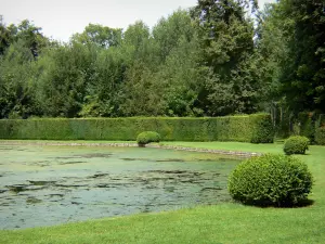 Château de Courances - Parc du château : la Gerbe (pièce d'eau), arbustes taillés et arbres