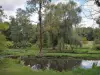 Château de Dampierre - Arbres au bord de l'eau