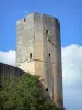 Château de Gavaudun - Donjon de la forteresse