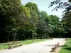 Château-Gontier - Jardin du Bout du Monde : allée agrémentée de bancs et bordée d'arbres