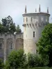 Château-Guillaume - Torre e le mura della fortezza medievale, e gli alberi sulla città di Lignac, nella valle del Allemette, nel Parco Naturale Regionale della Brenne