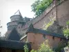 Le château du Haut-Koenigsbourg - Château du Haut-Koenigsbourg: Forteresse et arbre