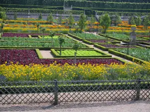 Château et jardins de Villandry - Fleurs, légumes et arbres du jardin potager