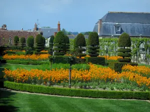 Château et jardins de Villandry - Plantes aromatiques, fleurs et arbustes taillés du jardin des simples