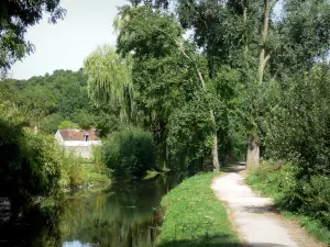 Château-Landon - Camine a lo largo del río y los árboles a lo largo del agua