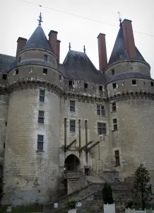 Château de Langeais - Towers of the fortress