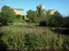 Château-Larcher - Ruines (vestiges) du donjon