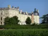 Château d'Oiron - Pavillon des Trophées, aile et tour du château