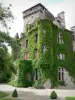 Château de Pesteils - Corps de logis et donjon médiéval