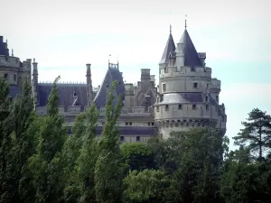 Château de Pierrefonds - Trees and tower of the feudal château