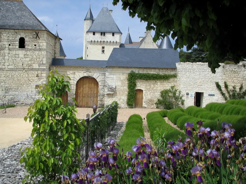 Le château du Rivau - Château du Rivau: Forteresse et ses communs, lavande et iris (fleurs)