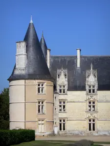 Château de La Roche - Tour du château, à Magné