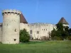 Château de la Roche - Feudal castle and its crenellated tower; in Chaptuzat