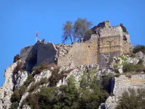 Château de Roquefixade - Overblijfselen (ruïnes) van de Katharen kasteel