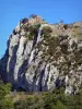 Château de Roquefixade - Château cathare (vestiges, ruines) perché sur son piton rocheux (pog)