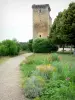 Château de Roquetaillade - Parc de Roquetaillade : massif de fleurs, et allée menant à la tour du château vieux
