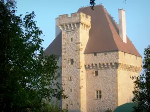 Château de la Souche - Donjon du château de la Souche ; sur la commune de Doyet