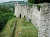 Château Thierry - Befestigungsmauern des alten Schlosses