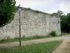 Château-Thierry - Old castle: Thibaud tower (keep)