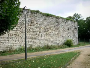 Château-Thierry - Vieux château : tour Thibaud (donjon)