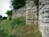 Château-Thierry - Remparts du vieux château