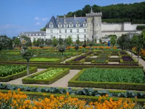 Château de Villandry and gardens - Castle and its keep dominating the vegetable garden (vegetables and flowers)