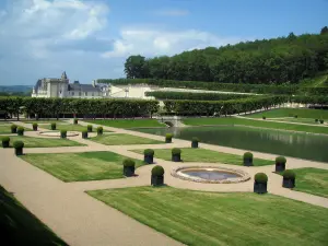 Château de Villandry and gardens - Water garden, castle and trees