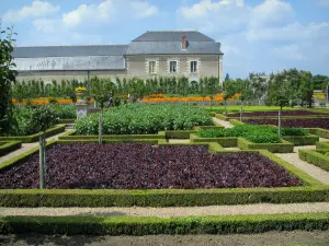 Château de Villandry and gardens - Vegetable garden (vegetables)
