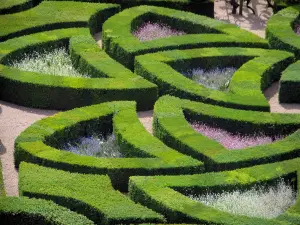 Château de Villandry and gardens - Ornament garden (Amour gardens)