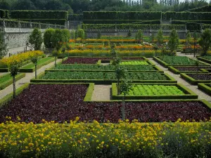 Château de Villandry and gardens - Flowers and vegetables of the vegetable garden