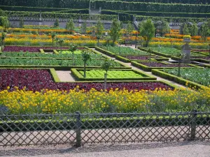 Château de Villandry and gardens - Flowers, vegetables and trees of the vegetable garden