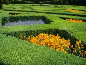 Château de Villandry and gardens - Flowers of the ornament garden