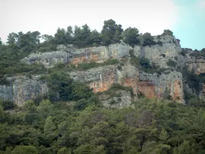 Châteaudouble gorges - Forest and cliffs of the Nartuby gorges