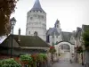 Châteaudun - Château avec son donjon (tour), sa Sainte-Chapelle et sa cour d'honneur, lampadaire et fleurs ; dans la vallée du Loir