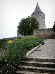 Châteaudun - Donjon (tour) du château, escalier et fleurs