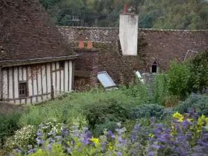 Châteaudun - Flores, arbustos y los tejados del casco antiguo