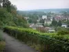 Châteaudun - Descenso de Correos y casas de la ciudad a lo largo del río Loira (Loir Valle)