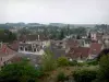 Châteaudun - Maisons de la ville, dans la vallée du Loir