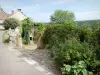 Châteauneuf-en-Auxois - Châteauneuf: Maisons du village dans un cadre verdoyant