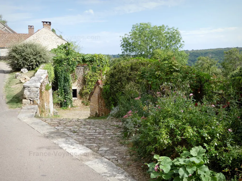 Châteauneuf-en-Auxois - Châteauneuf: Maisons du village dans un cadre verdoyant