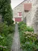 Châteauneuf-en-Auxois - Châteauneuf: Petite ruelle pavée bordée de plantes