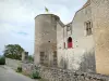 Chateauneuf-en-Auxois - N.城堡: 中世纪强化城堡