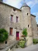 Chateauneuf-en-Auxois - N.城堡: 有炮塔的羊舍