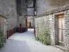 Chateauneuf-en-Auxois - N.城堡: 通往城堡入口的小巷