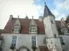 Chateauneuf-en-Auxois - N.城堡: 城堡的大别墅